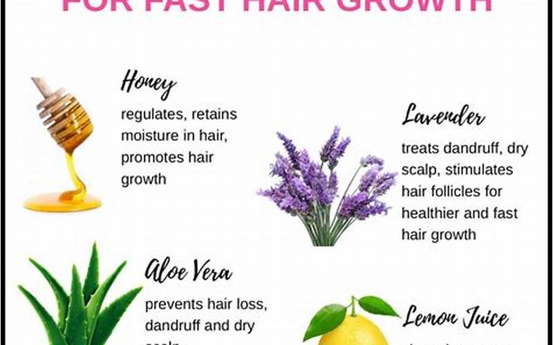Haircare Products And Ingredients